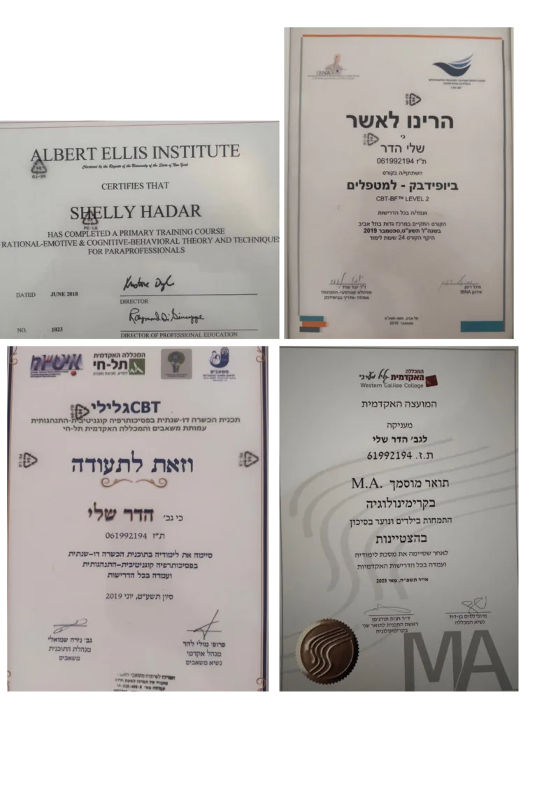 תעודות והשכלה מקצועית